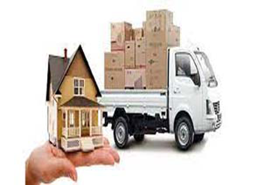 services